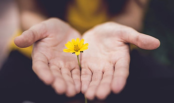 woman offering a flower in her hands